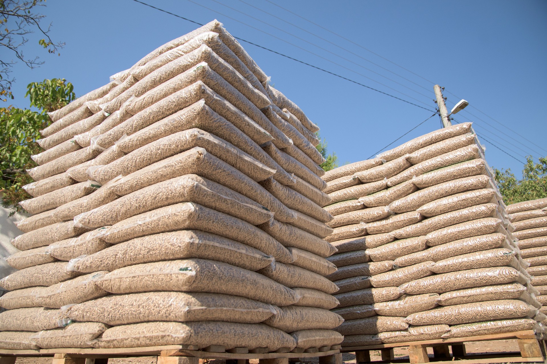 Pellets in plastic bags- wooden biomass