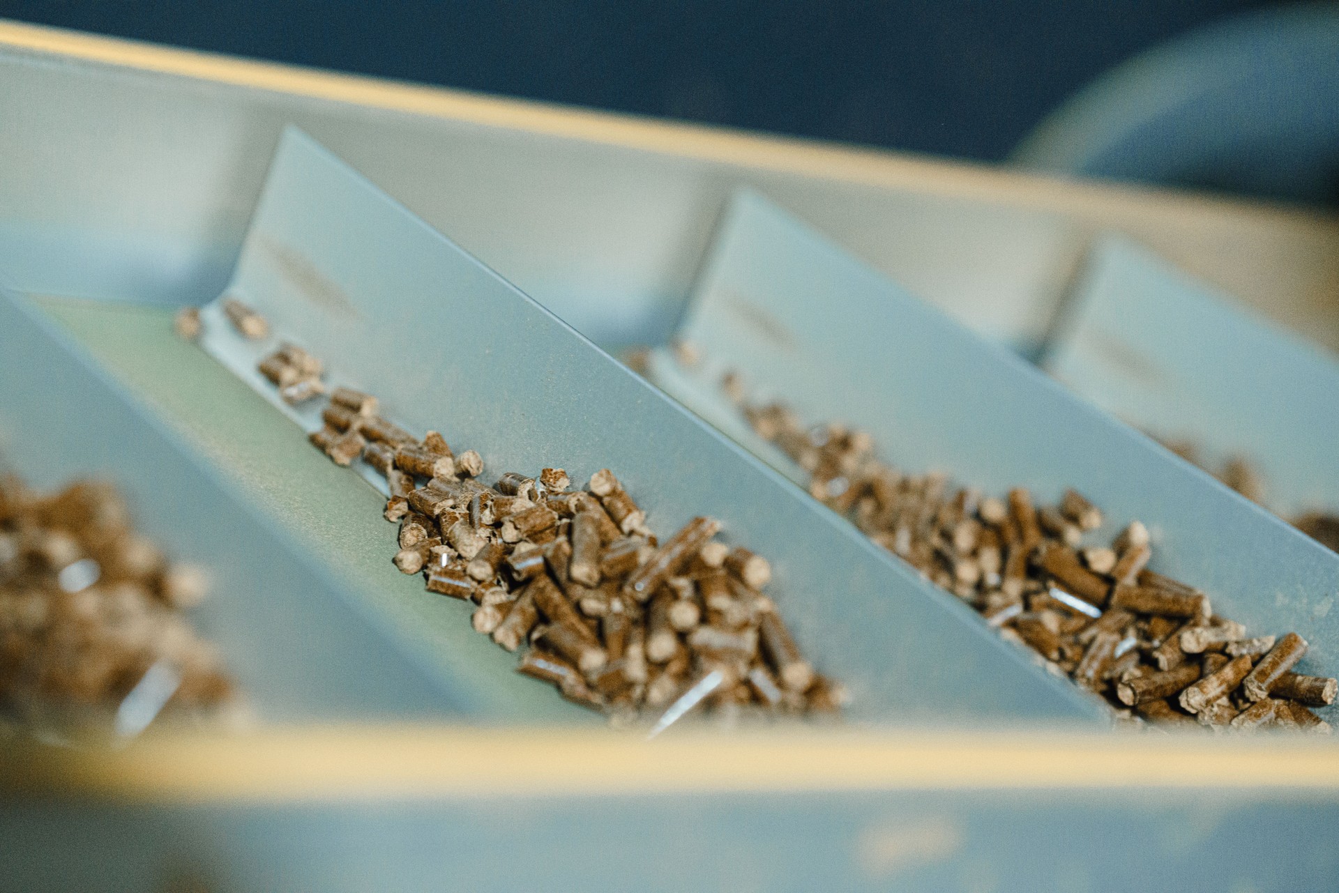 Wood pellet production machine in factory, pellet manufacturing in wood pellet line. Reusing wooden industrial waste.