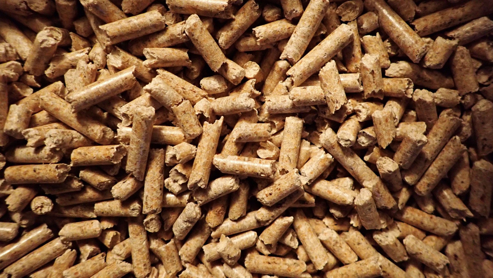 Close-Up of Wooden Pellets for Renewable Energy and Biomass Fuel