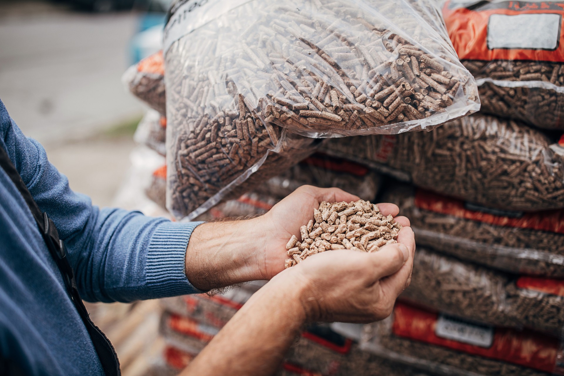 wood pellets are held by human hands